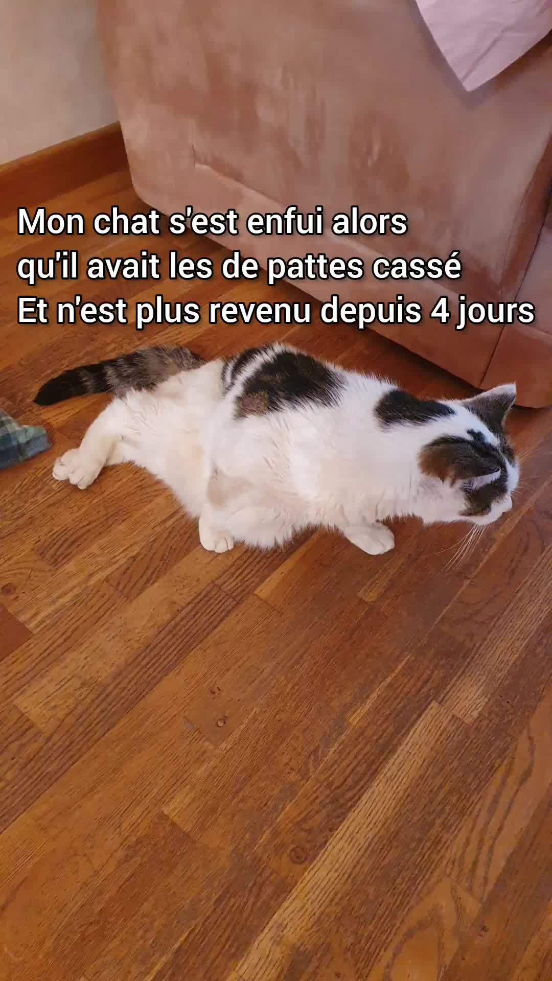 @MPower_f36