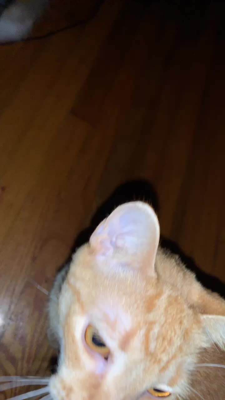 @G