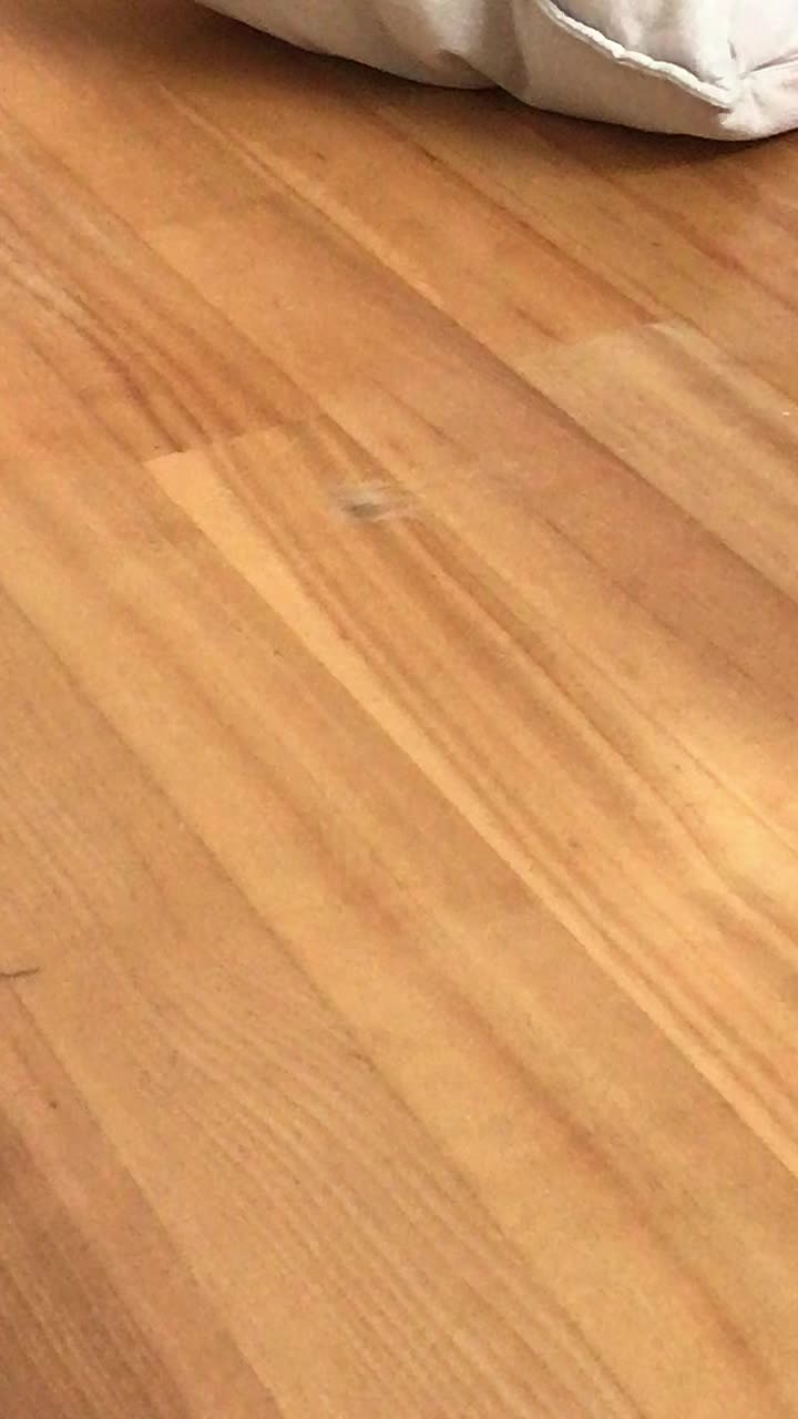 @✨