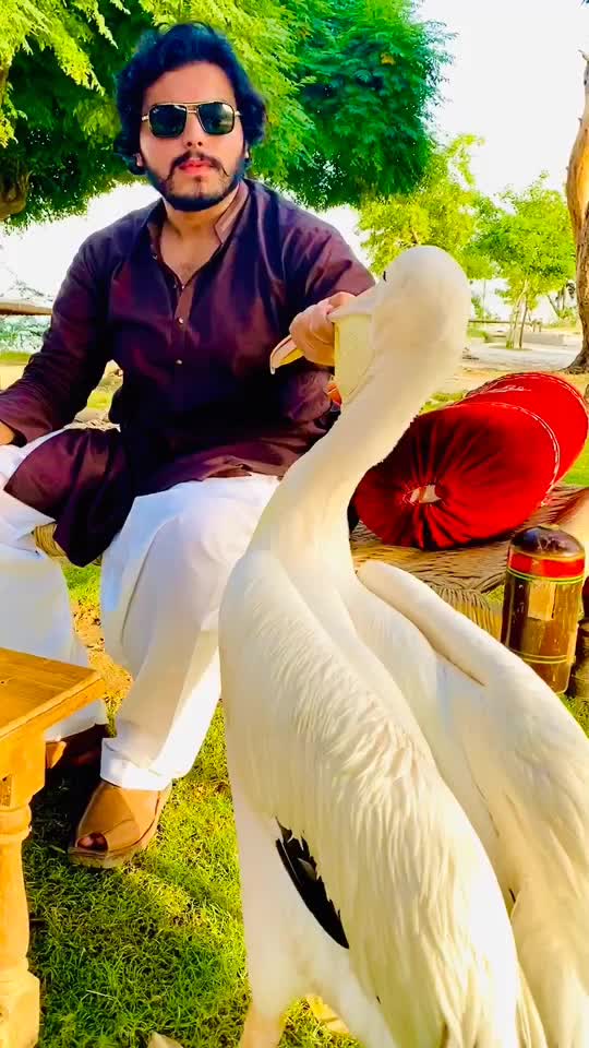 @Kashif Khan NiaZi