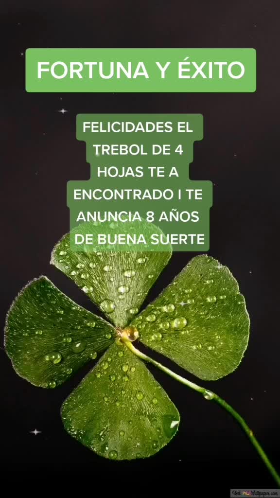 @anadhael11