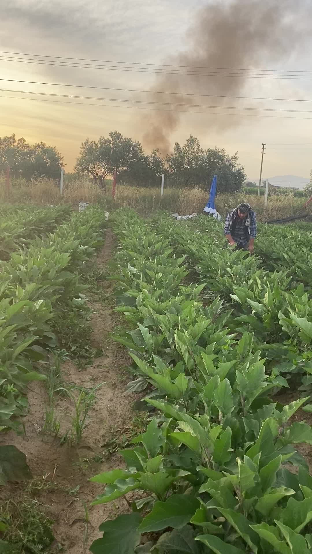 @Mahmut İ&ccedil;&ouml;z