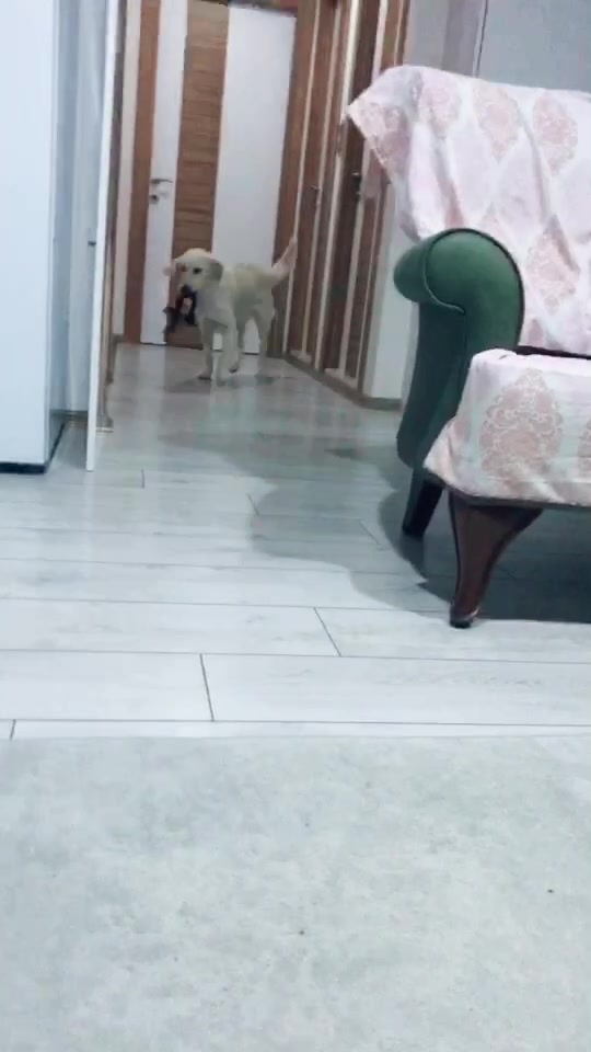 @Hilal Kök