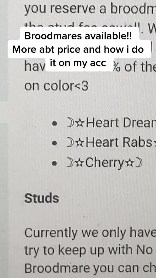 @Horse reality🤍