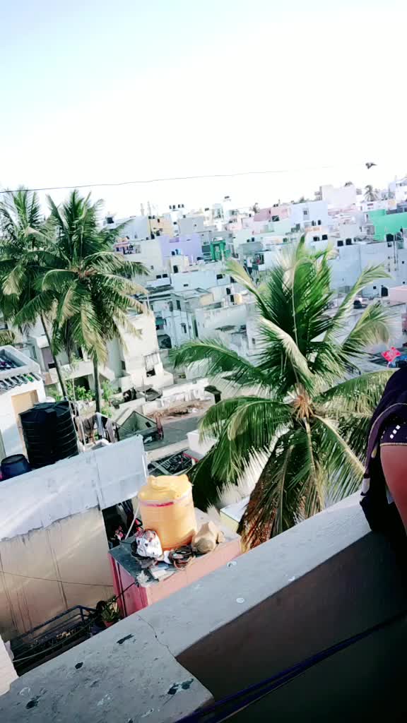 @கோபம்கொண்ட பாசக்காரி