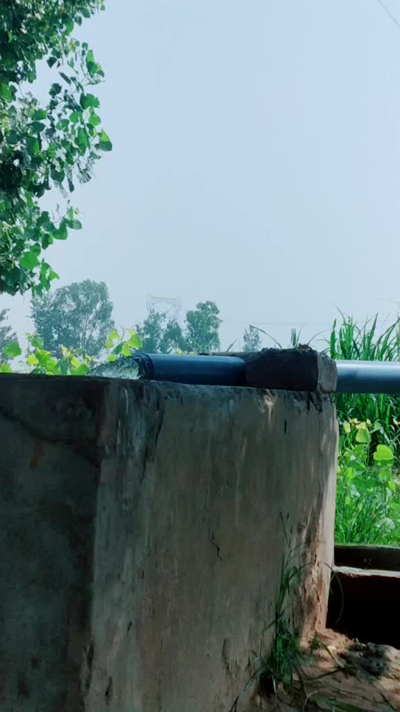 @Vinit Bhadana4877