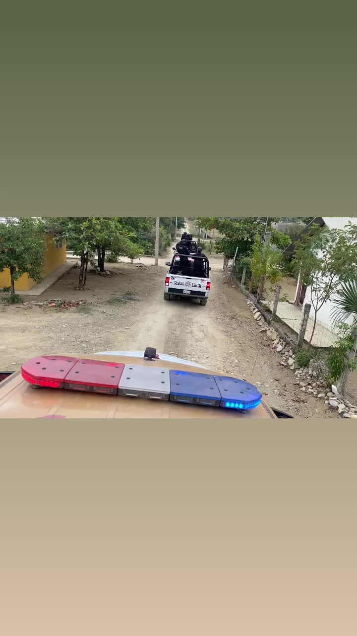 @Polinegro