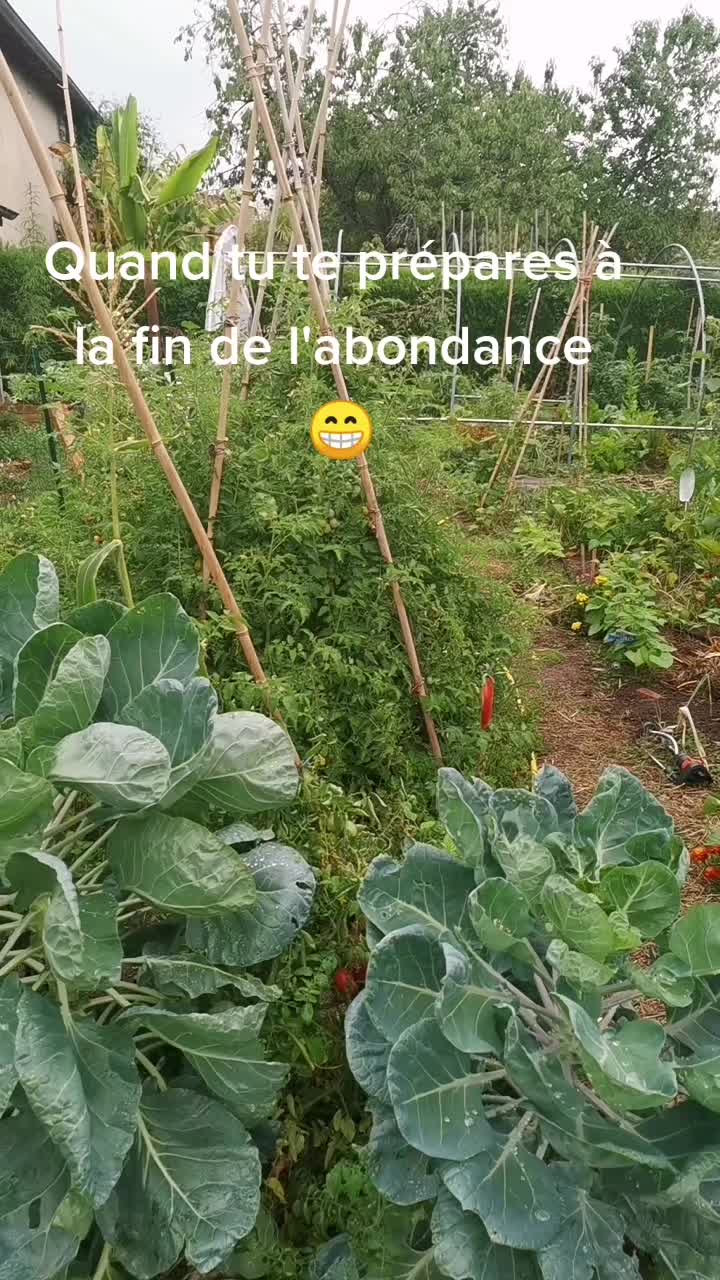 @Miloune au jardin