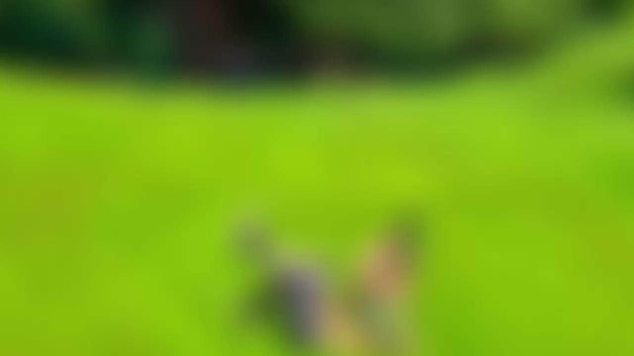 @MCYT/Dream SMP Fanpage