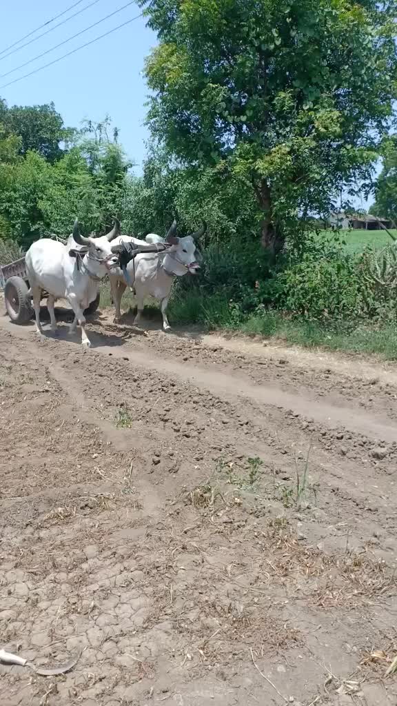 @Hardik8920