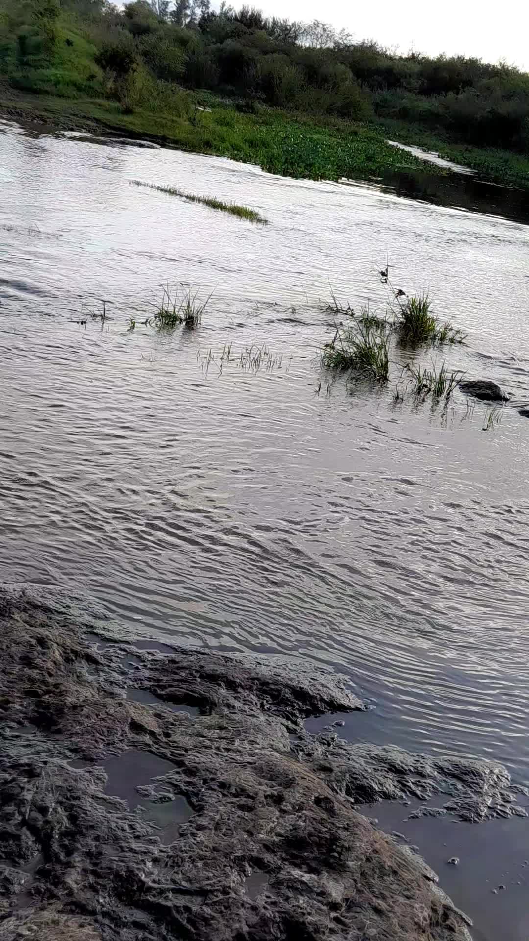 @alejandrofernan297