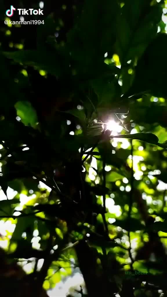 @🇮🇳Sakshi_chauhan00
