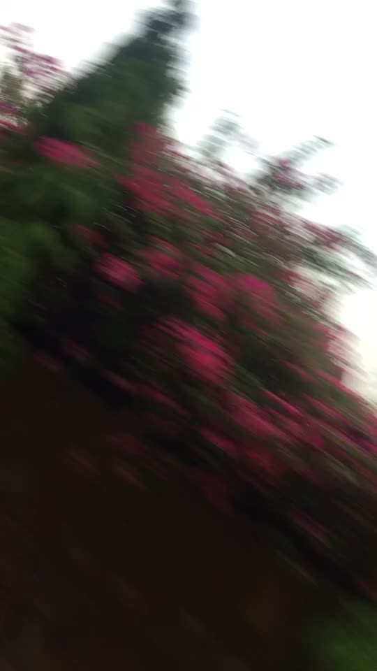 @user89626383634