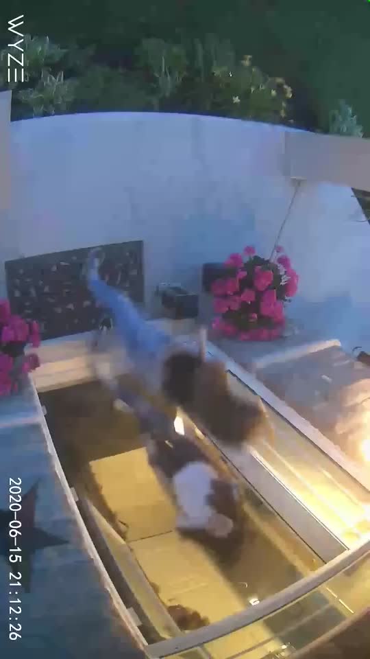 @soph౨ৎ