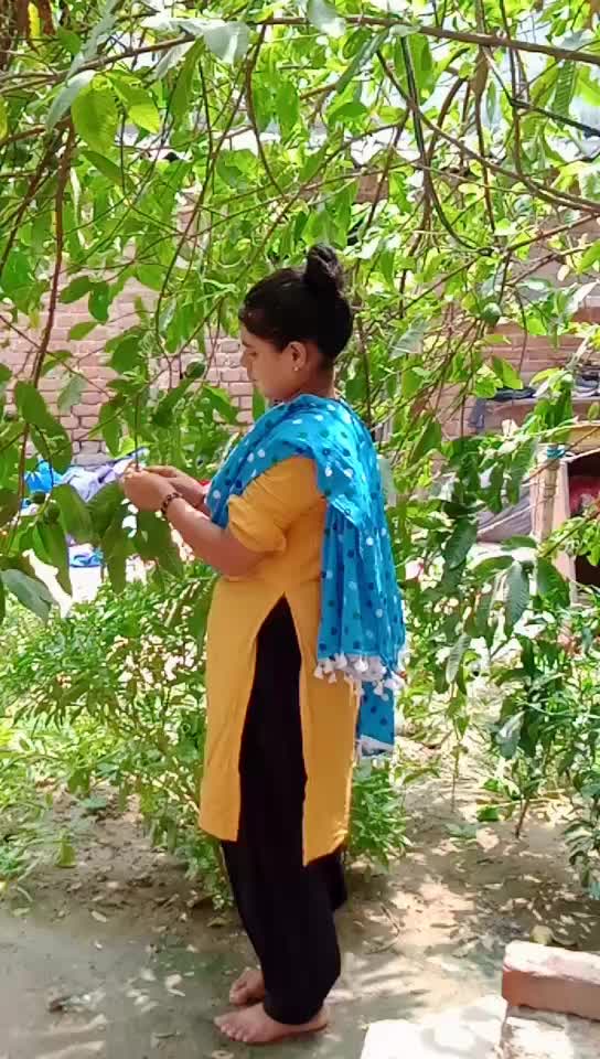 @seema kureshi