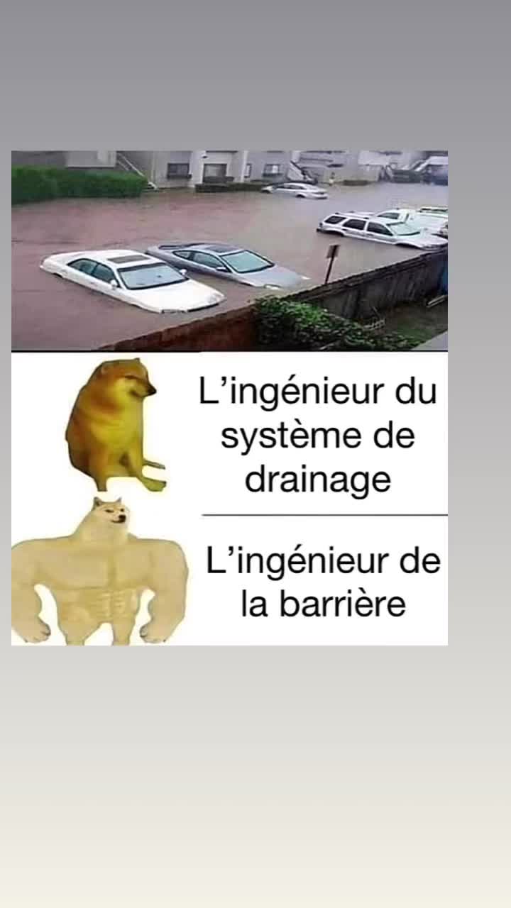 @lichaedouard