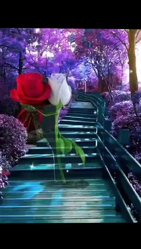 @Suria Nisha786