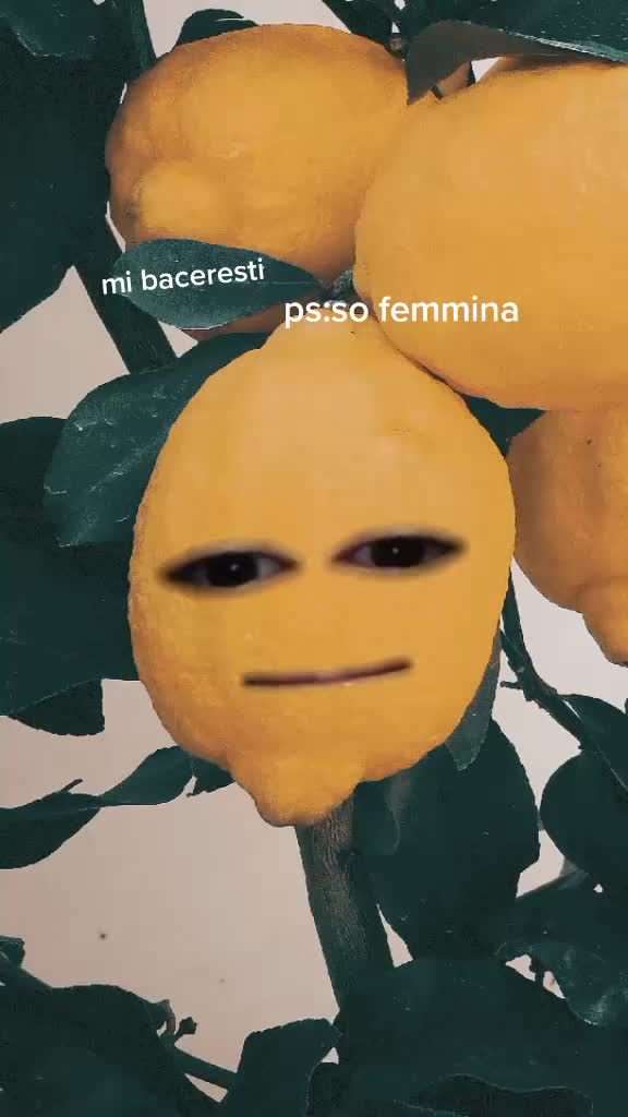 @Noemi Marchetti629