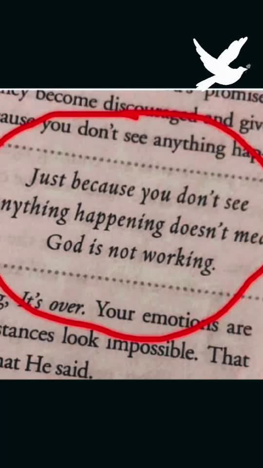 @GodisReal1001