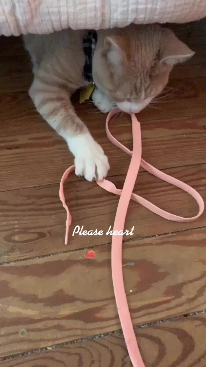 @hiimralph