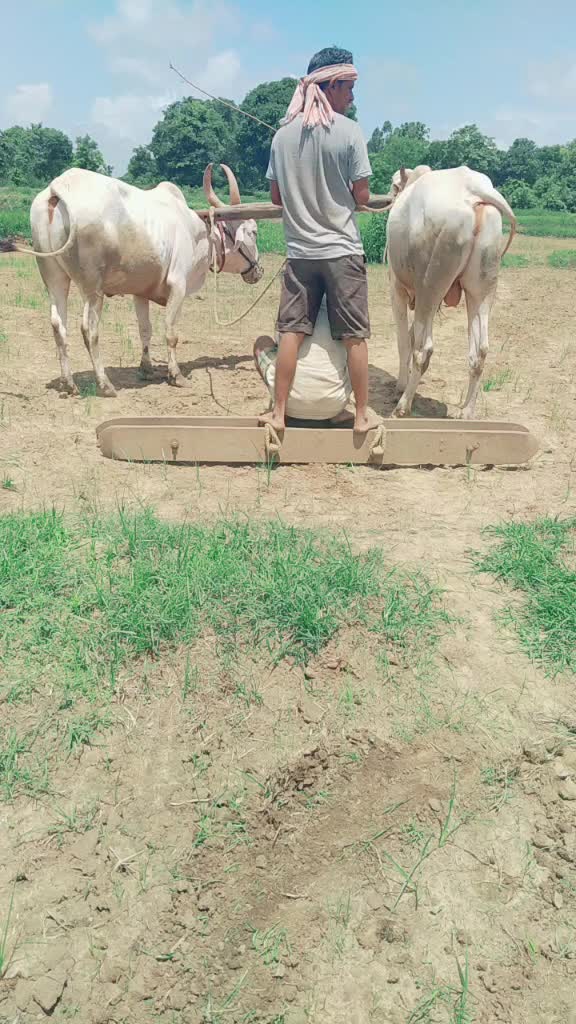 @Pravin Changonnavar