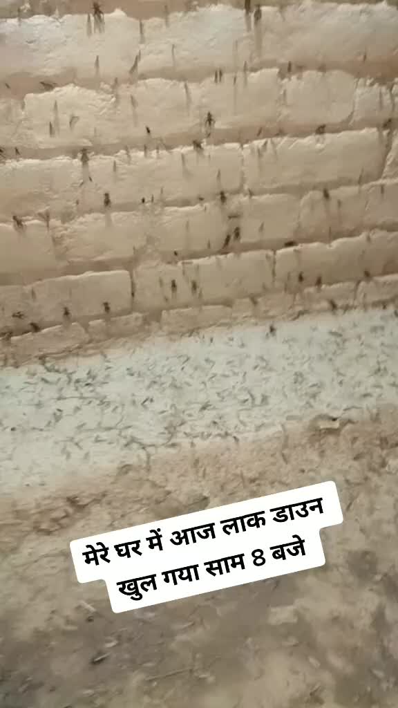 @🤘Mr Desi boy🤘