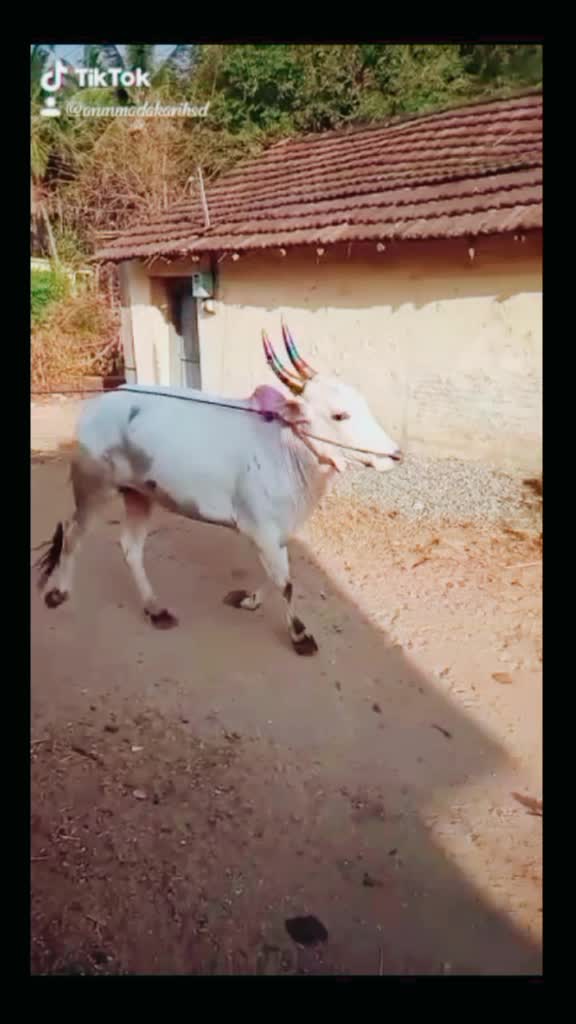 @@_Arun_kiccha_777