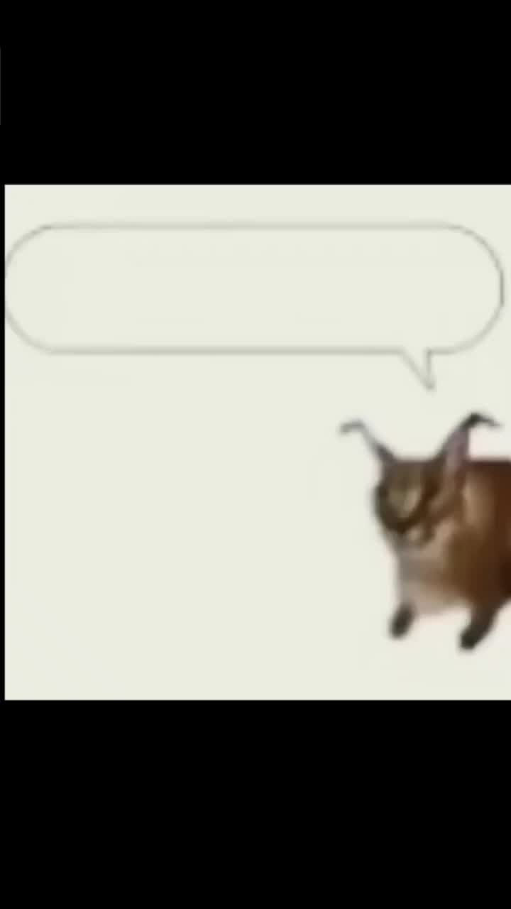 @Croquetaquema