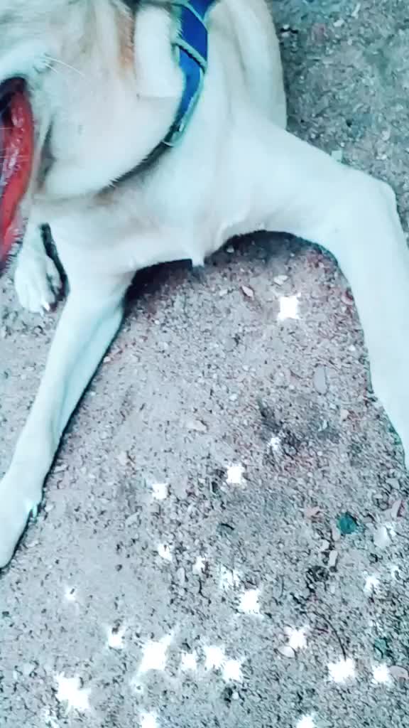 @ராமச்சந்திரன் S