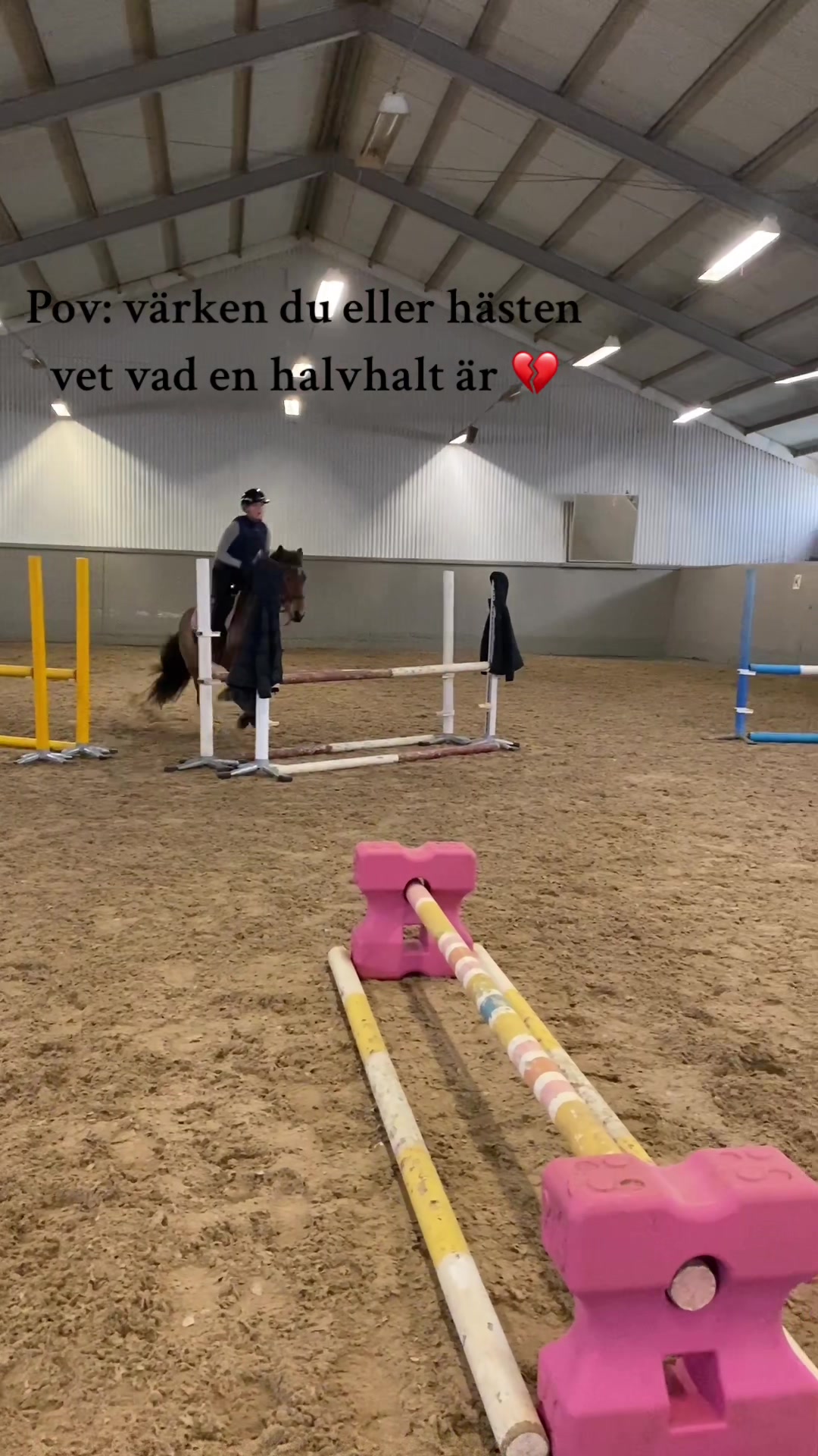 @Emelie och Lady đ