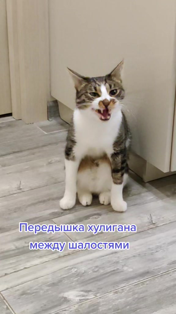 @Miki Мики