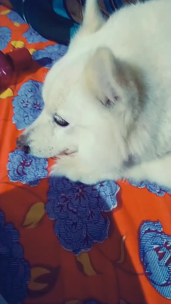 @❤sukhmita❤