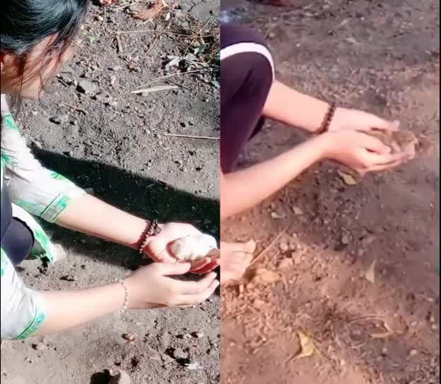 @panchami pavi