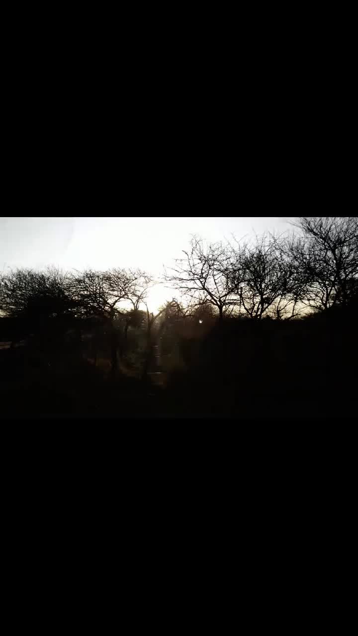 @M.J.A Serfontein