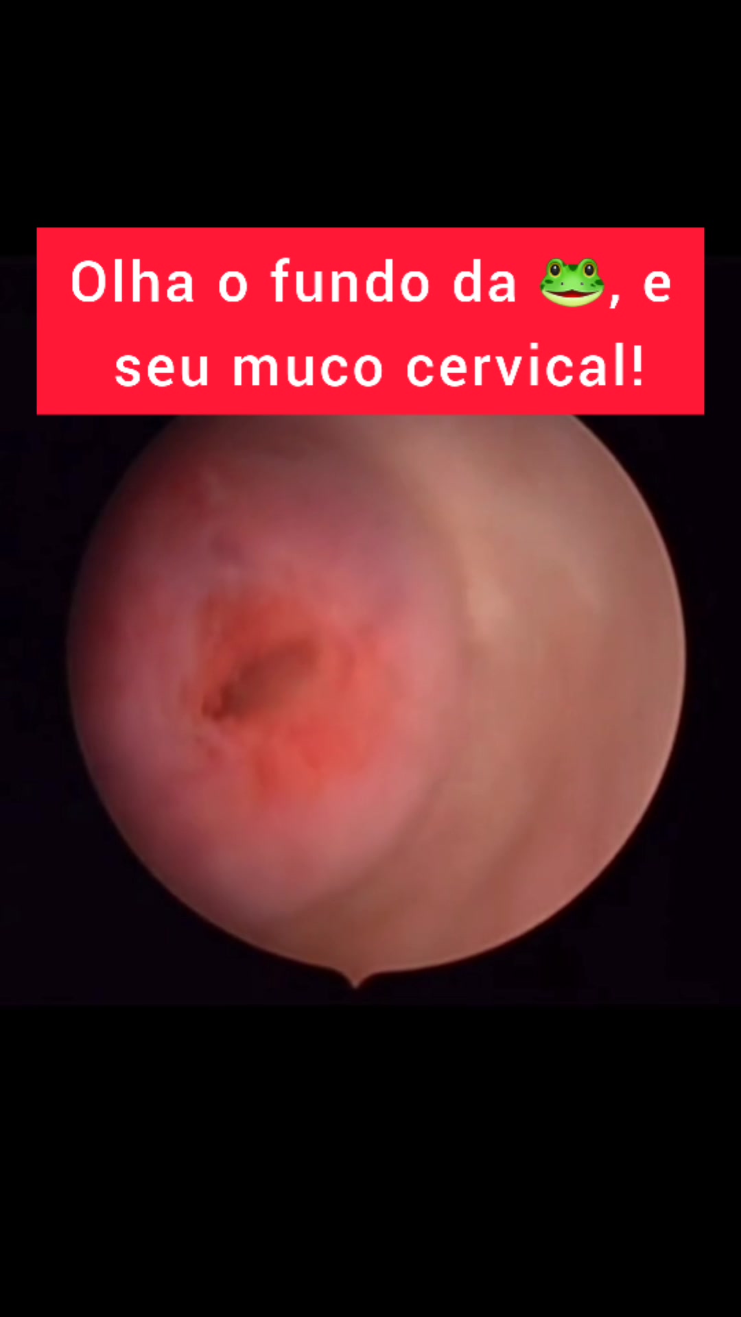@Dr.ivanpenna