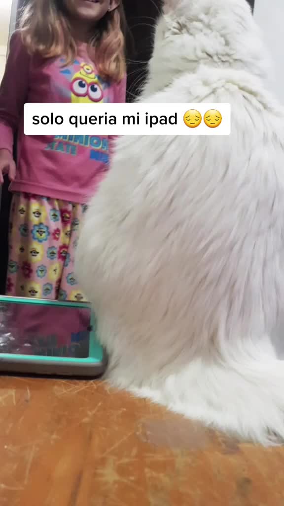 @&hearts;️Priss_Miau_lalocadelosgatos