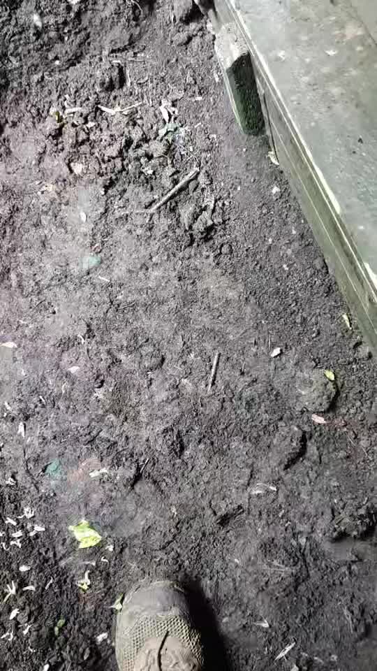 @Дарина Прокоф'єва 🇺🇦&hearts;️