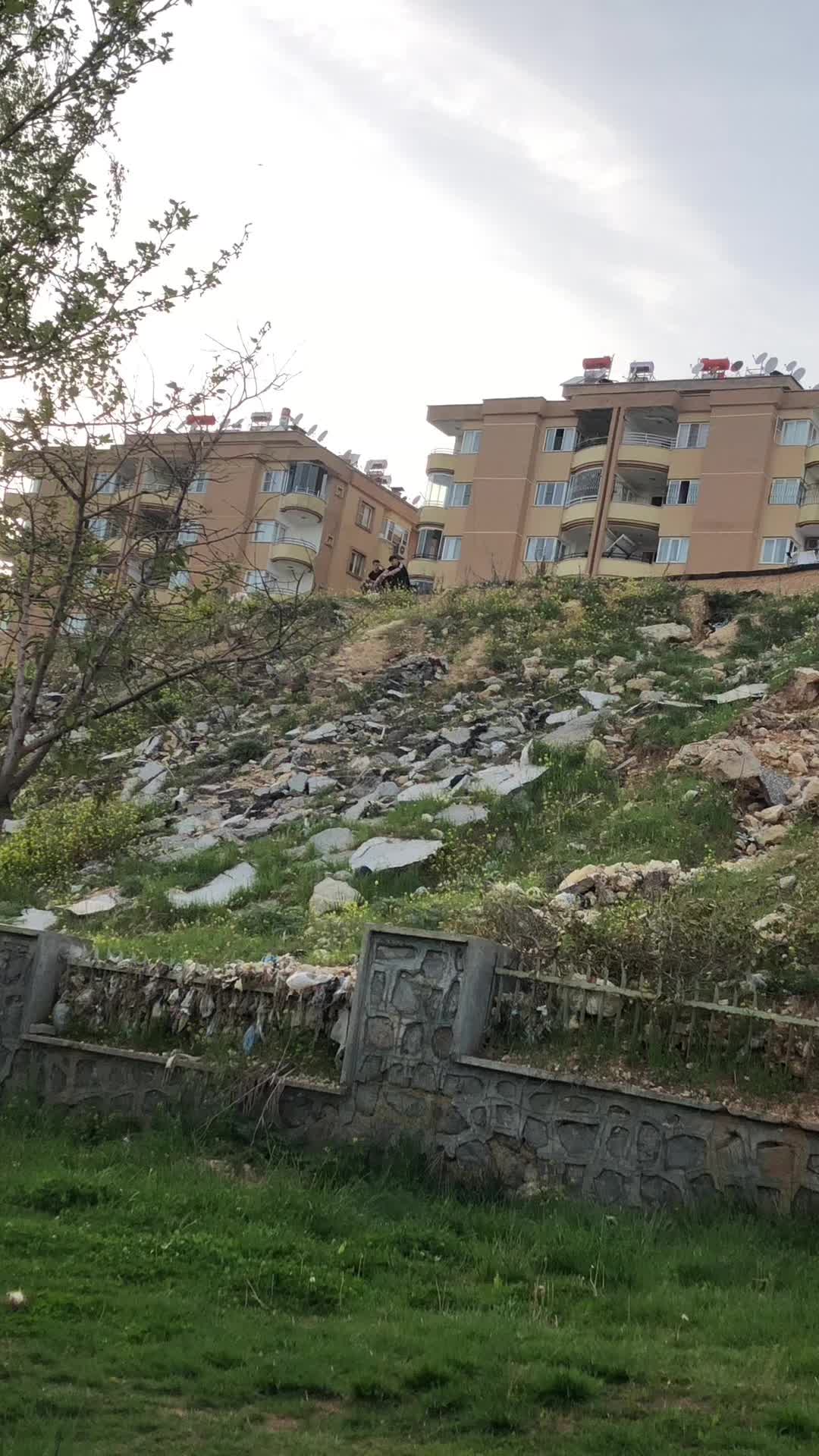 @MERCO HALİL AYRIÇ
