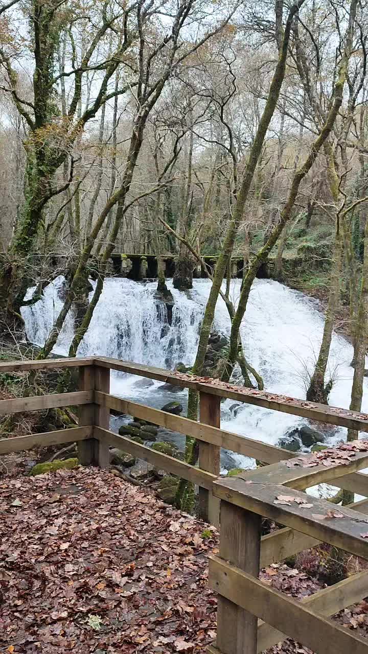 @Galicia Máxica