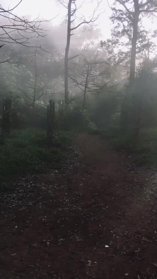 @varunvachis
