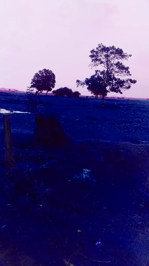 @SRINIBAS MOHANTY