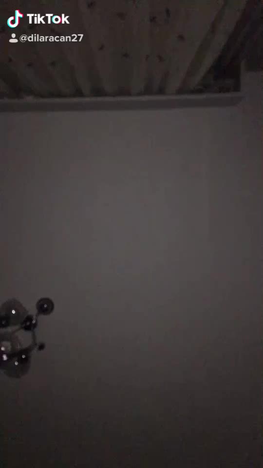 @dilaracan27
