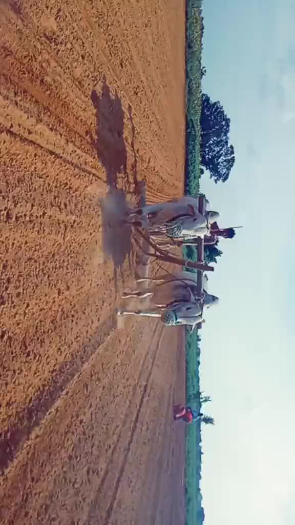 @Yadagiri Ntr Yadagir