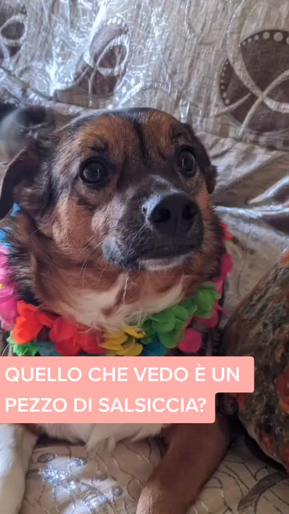 @Rossella Dell'Olio