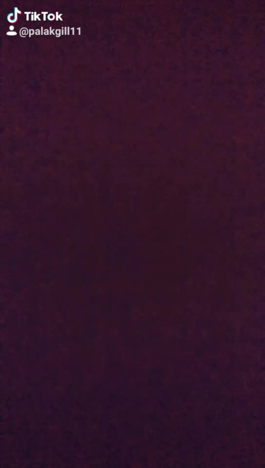 @palakgill