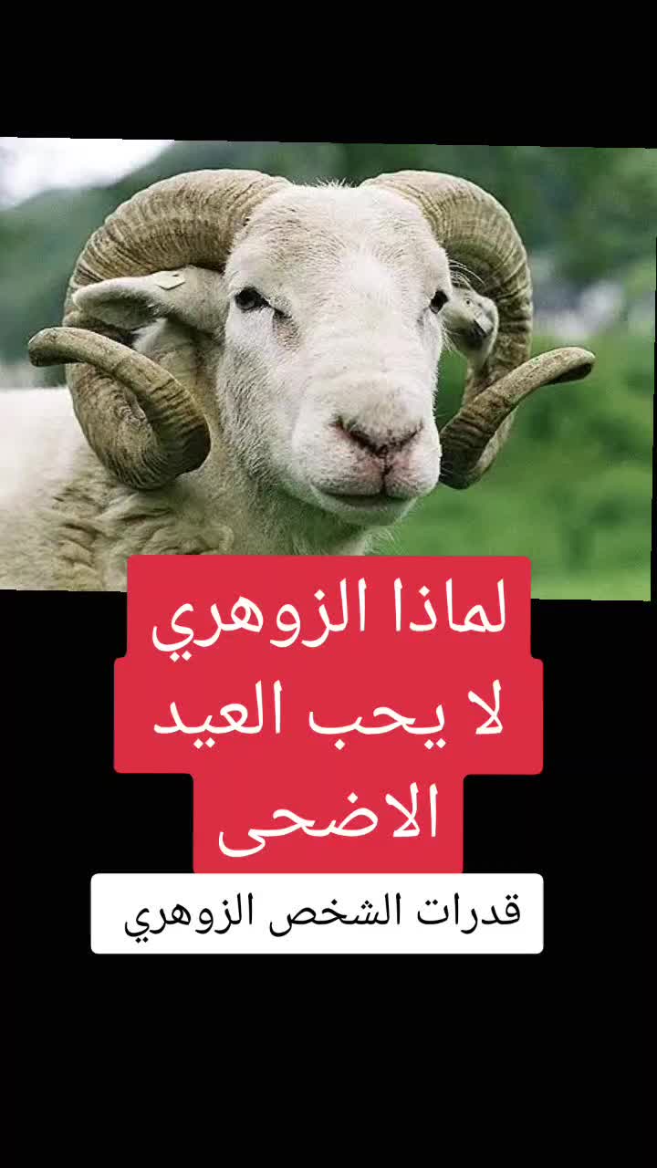 @قدرات الشخص الزوهري