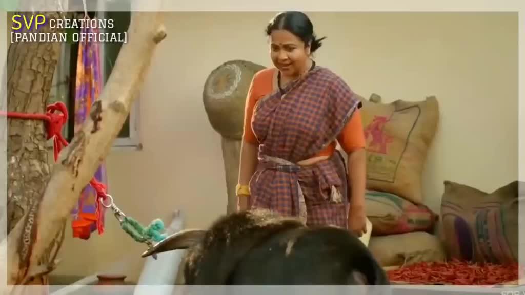 @SINGLE_DOSA