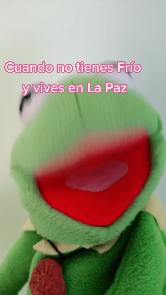 @RanitaAlva🐸