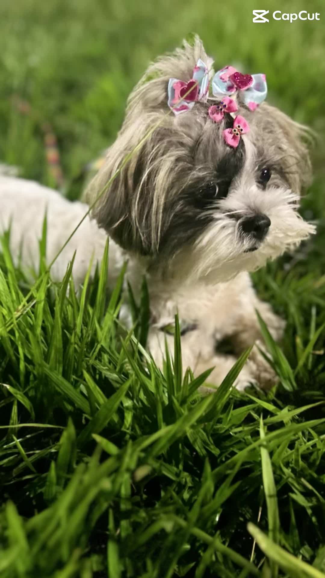 @Nathalya Vicentini