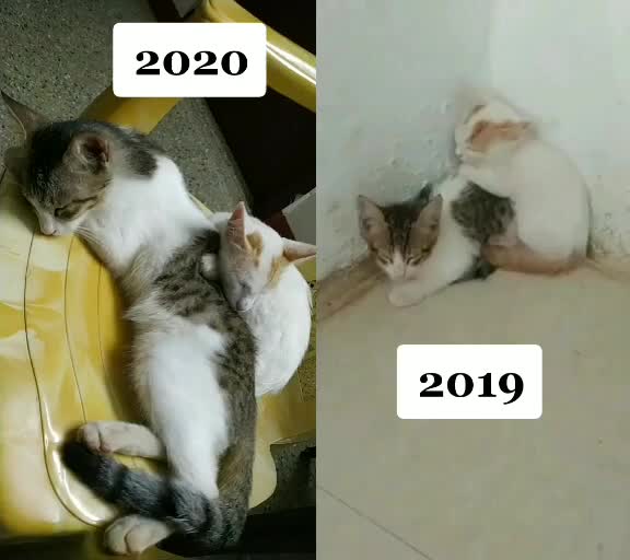 @90's Kid ๐ถ